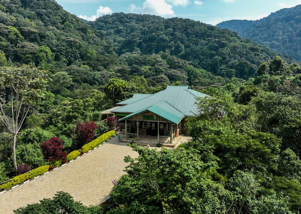 13 Days Uganda Safari and Rwanda Safari Tour Holiday Combo